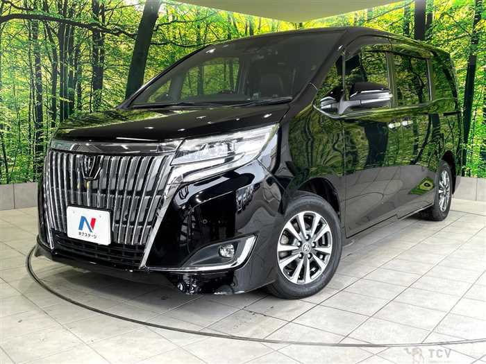 2019 Toyota Esquire