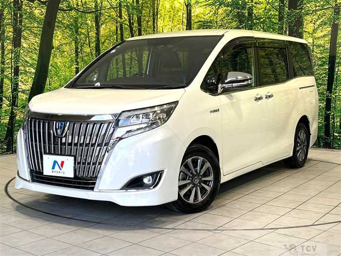2019 Toyota Esquire