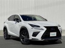 2019 Lexus NX