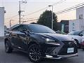 2020 Lexus NX