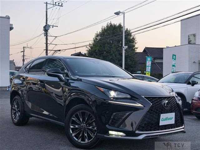 2020 Lexus NX
