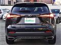 2020 Lexus NX