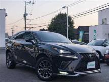 2020 Lexus NX