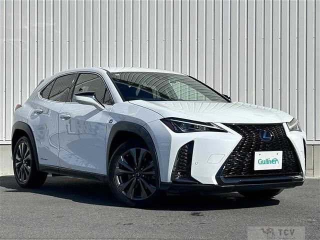 2019 Lexus UX