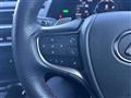 2019 Lexus UX