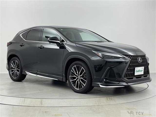 2023 Lexus NX