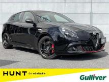 2021 Alfa Romeo Alfa Romeo Others