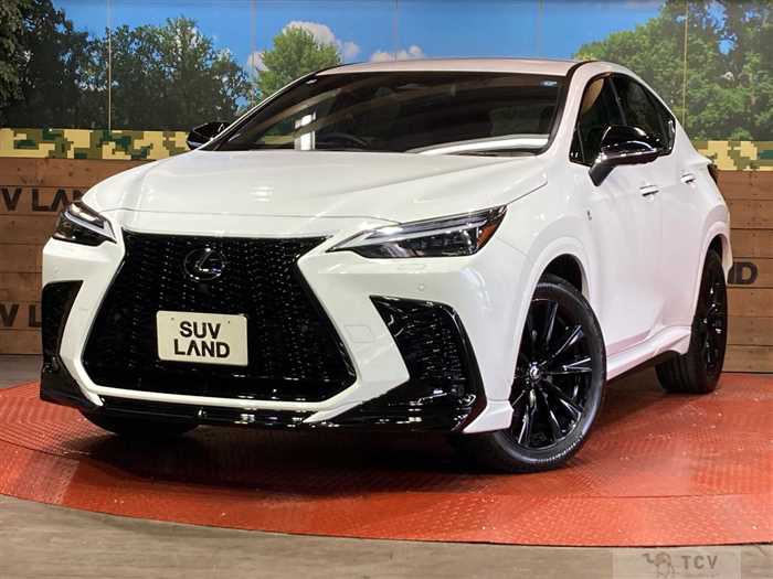 2024 Lexus NX