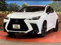 2024 Lexus NX