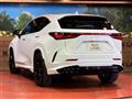 2024 Lexus NX