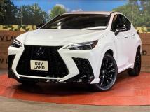 2024 Lexus NX