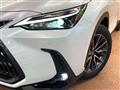 2024 Lexus NX
