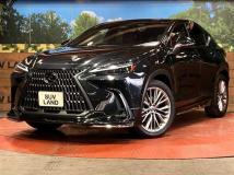 2022 Lexus NX