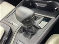 2019 Lexus UX