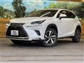 2019 Lexus NX