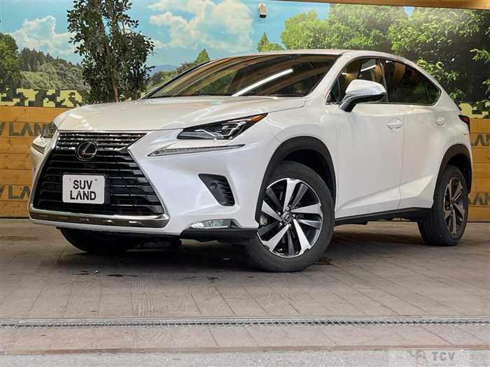 2019 Lexus NX