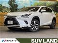 2019 Lexus NX