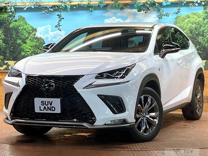 2019 Lexus NX