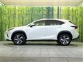 2019 Lexus NX