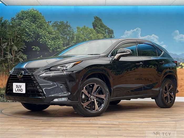 2020 Lexus NX