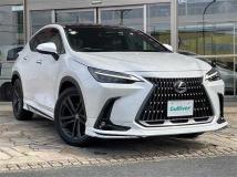 2023 Lexus NX