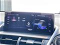 2020 Lexus NX