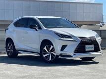 2020 Lexus NX