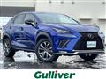 2019 Lexus NX