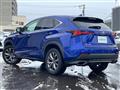 2019 Lexus NX