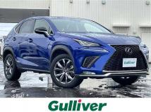 2019 Lexus NX
