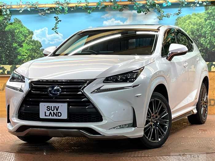 2015 Lexus NX