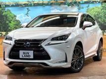 2015 Lexus NX
