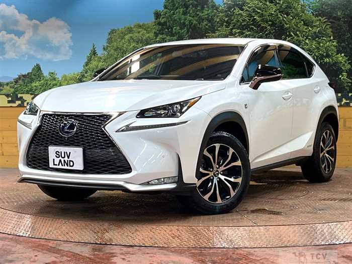 2015 Lexus NX
