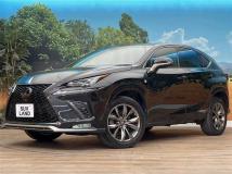 2018 Lexus NX