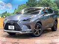 2021 Lexus NX