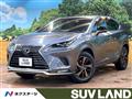2021 Lexus NX