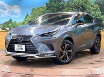 2021 Lexus NX