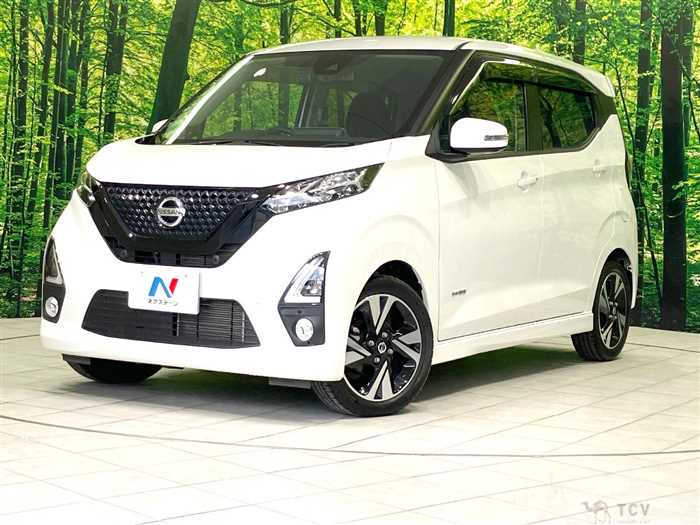 2019 Nissan DAYZ