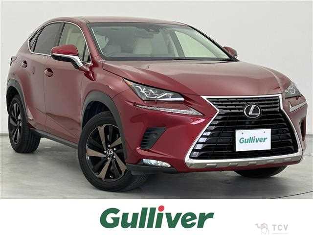 2018 Lexus NX