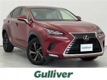2018 Lexus NX