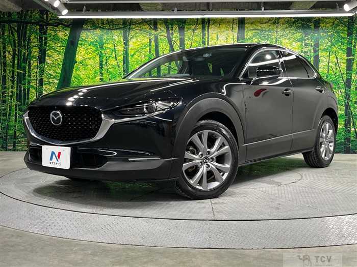 2020 Mazda Mazda Others