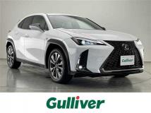 2019 Lexus UX