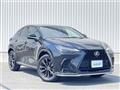 2022 Lexus NX