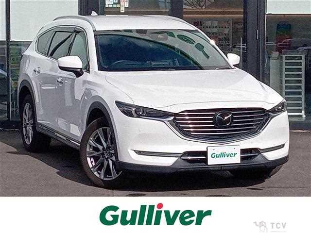 2018 Mazda CX-8
