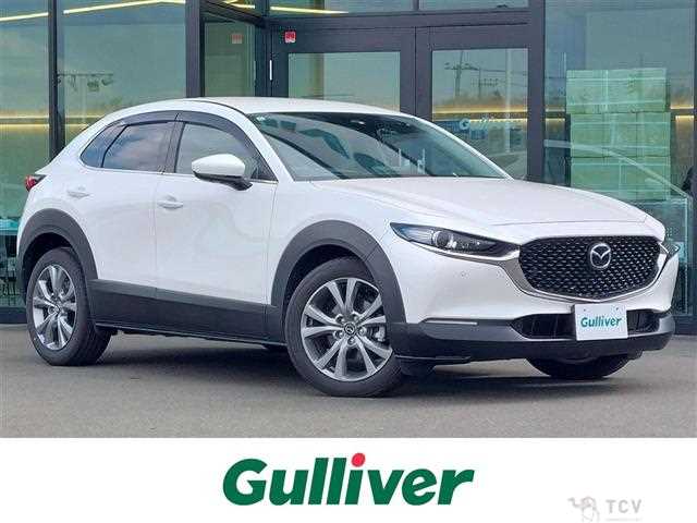 2023 Mazda CX-3