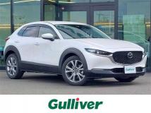 2023 Mazda CX-3