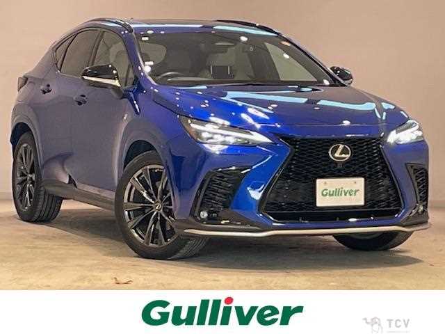2022 Lexus NX
