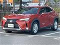 2019 Lexus UX
