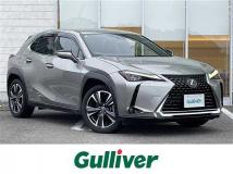 2019 Lexus UX