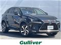 2020 Lexus NX